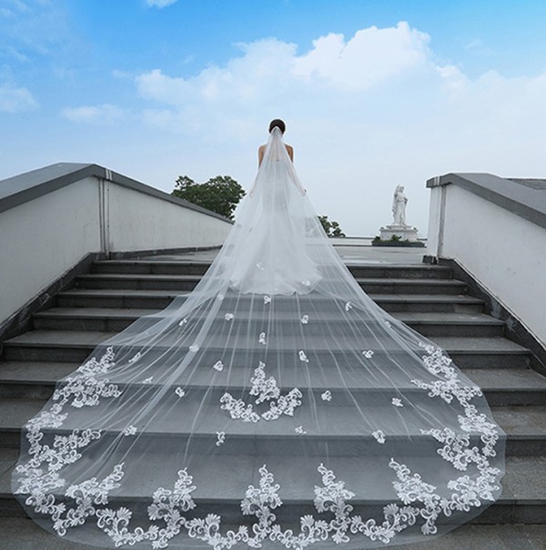 

Applique One Layer Wedding Veils Cathedral Length Tulle Bridal Wedding Accessories Custom Made Long Veil With Comb, Black