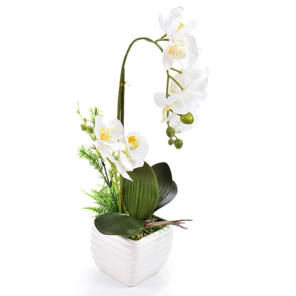 2020 Silk Real Touch Home Decor Artificial Phalaenopsis Orchid Flower Arrangement Small Bonsai Plants With Ceramic Flower Pot From Home1688 38 25 Dhgate Com