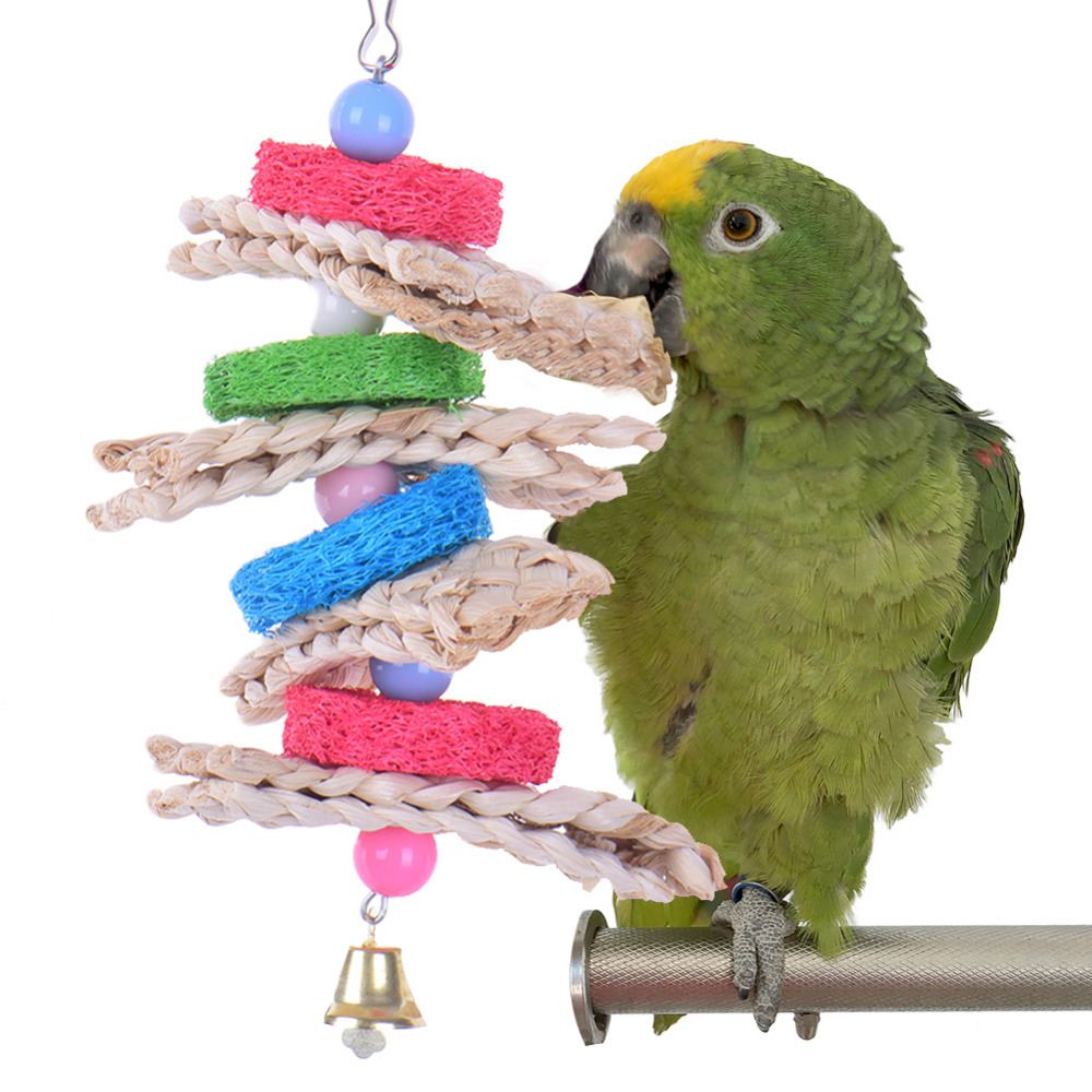 bulk parrot toys