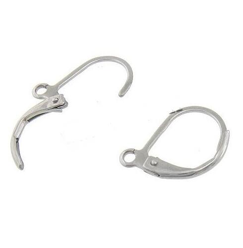 

200pcs Stainless Steel Lever Back Earring Component for DIY jewelry finding Stainless Steel Color size 10X13.2mm, Blue;slivery