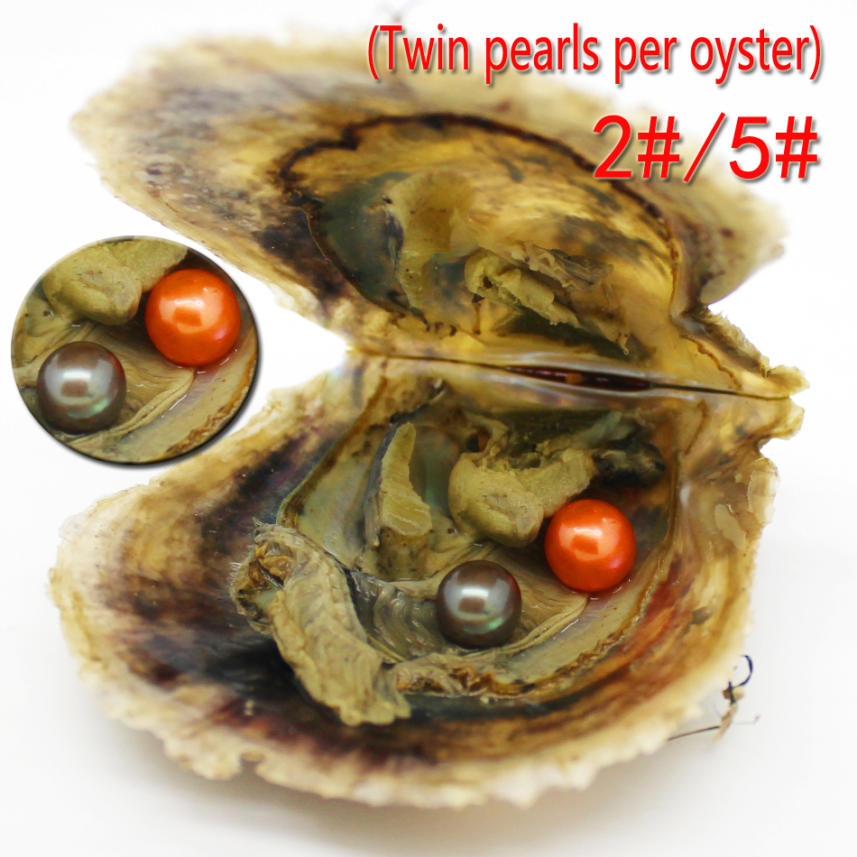

Wholesale cheap freshwater pearl party 6-7mm4A round akoya pearl and twins oyster with vacuum pack seal