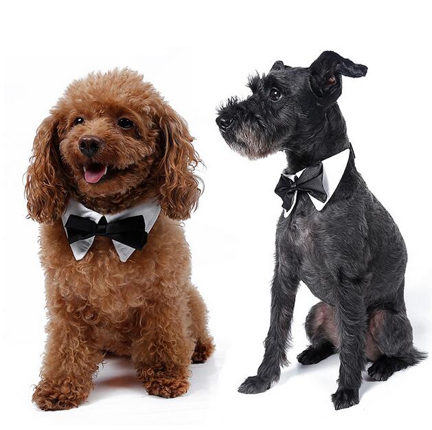 

Pet Supplies Dog Tie Wedding Accessories Pet Bow Tie Dog Cat Bowtie Formal Pet Necktie Adjustable Collar Party Necktie G485, Black white
