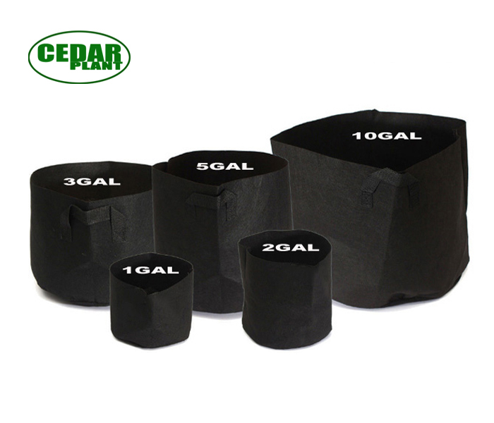 

100pcs Home Flower/Vegetable Non-woven Planting Bag Plant Planters Fabric Garden Root Container Growing Wholesale Pots Pouch Pots MOQ Pshhf, Brown;gray