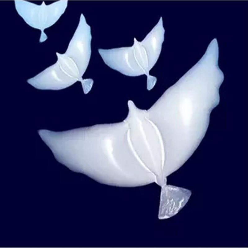 Weisse Tauben Hochzeit Weisse Hochzeitstauben Berlin Potsdam Und