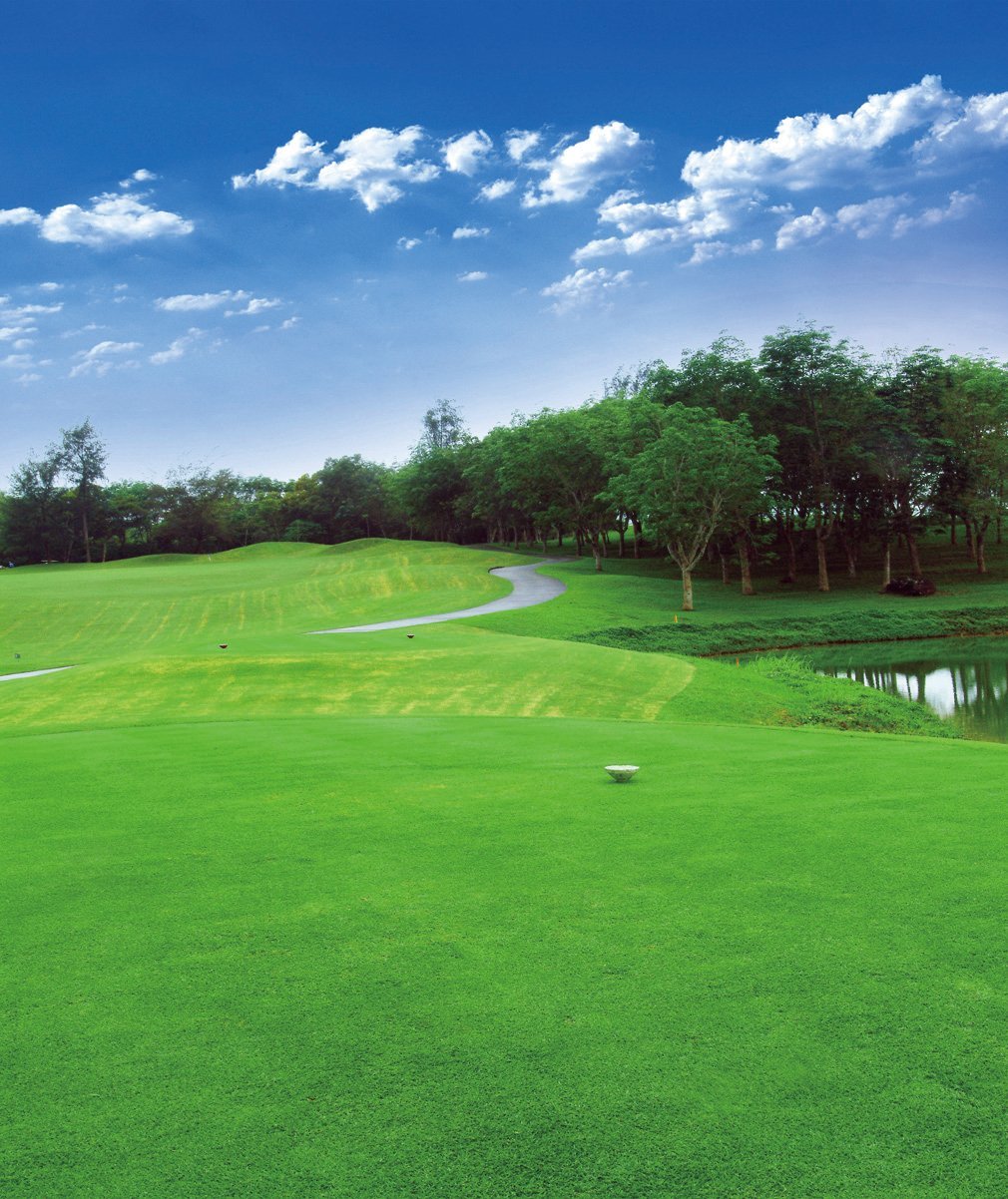 

Golf Course Photo Background Green Lawn Trees Blue Sky Cloud Outdoor Nature Scenic Photography Backdrop Studio Booth Wallpaper Vinyl 8x10ft