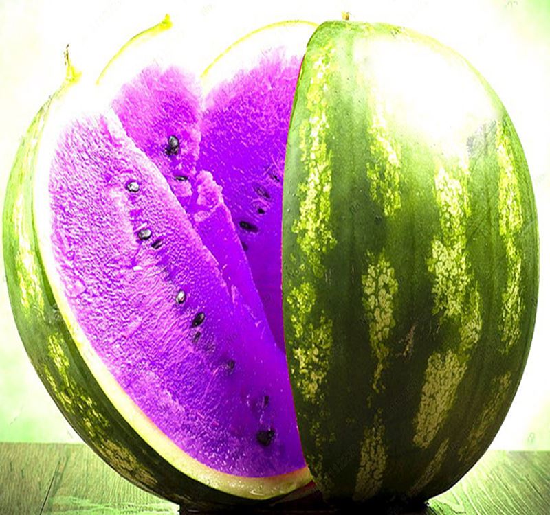 

A Package 50 Pieces Seeds Rare Purple Flesh Watermelon Seeds Super Big Water Melon Seeds for Home & Garden