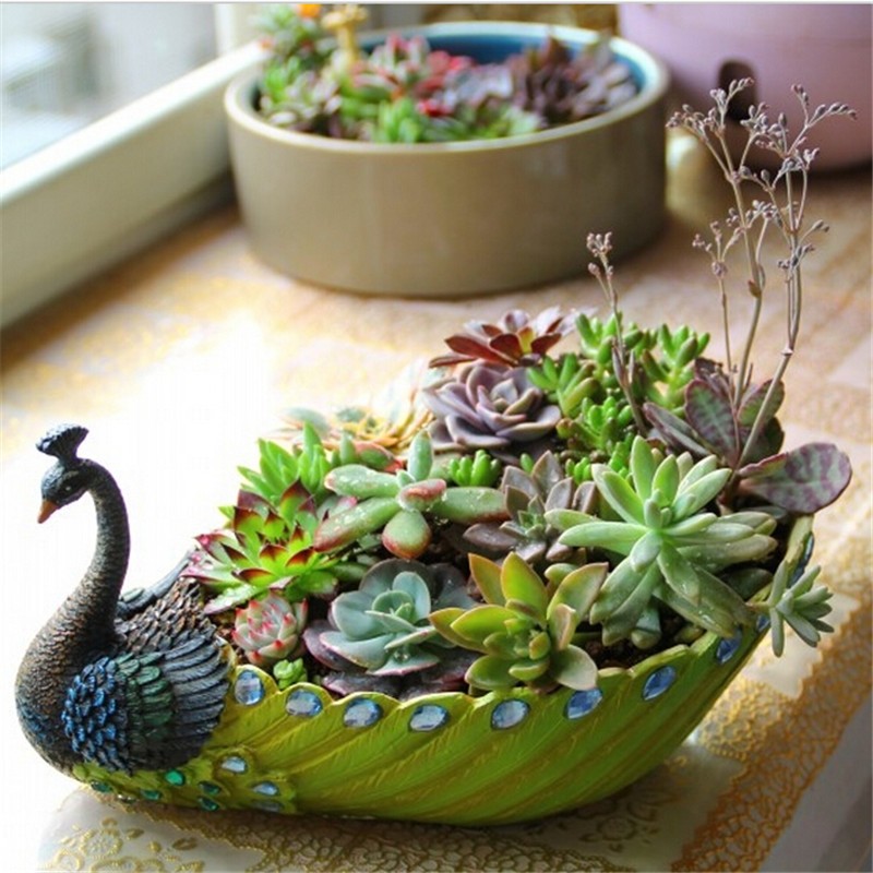 

1 pcs Large Medium Small Three Size 5 Colors Pastoral Simplicity Resin Peacock Green Plants Flower Pots Creative Flower Pot