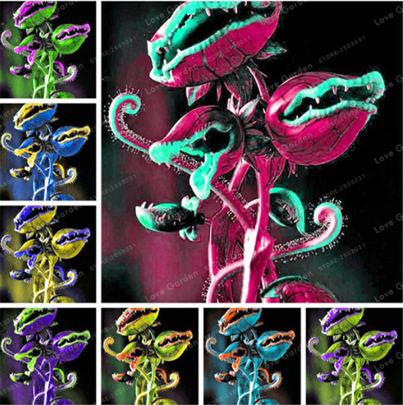 

Venus Fly Trap Carnivorous Plant Seed Dionaea Muscipula Cordyceps Flycatcher Semillas De Flores Raras For Home Garden 50 Pcs