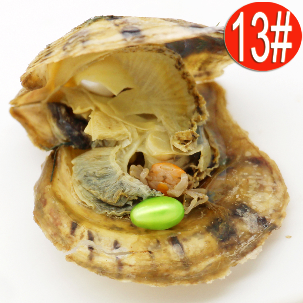 

Spot Wholesale Vacuum Packaging 6-8mm Loose Bright Green Oval Pearl Salted Oyster Shell Akoya Oyster Pearl