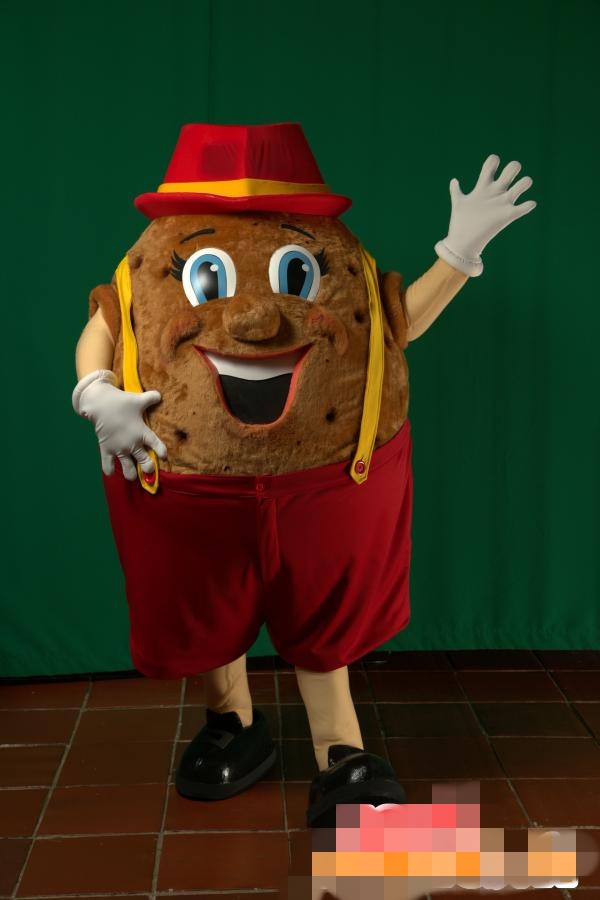 

Custom chocolate mascot costume, Brown
