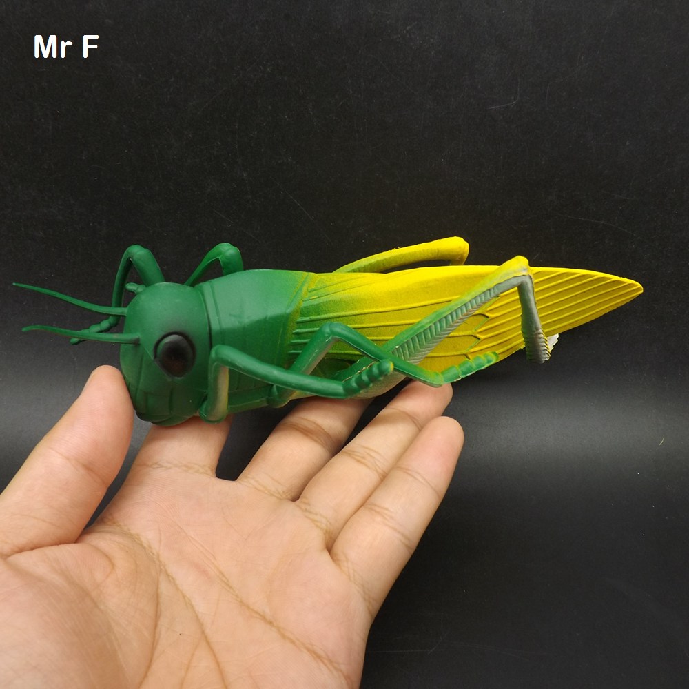 plastic grasshopper toys