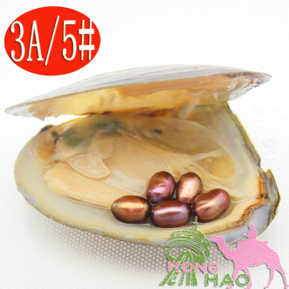 

2018 Glamour Jewelry Freshwater Pearl Pearl Oysters 6-8mm Oval #5 Brown Pearls Surprise gift for family in vacuum packaging