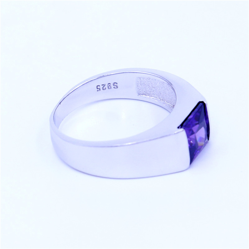 

Fashion Purple Birthstone Jewelry Wedding band rings for women 5A Zircon Cz 925 Sterling silver Female Anniversary Party Ring