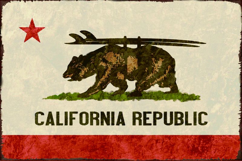 

California Republic Bear State Flag Sign Retro Metal Sign Vintage Craft Tin Sign Retro Metal Painting Poster Bar Pub Wall Art UV297