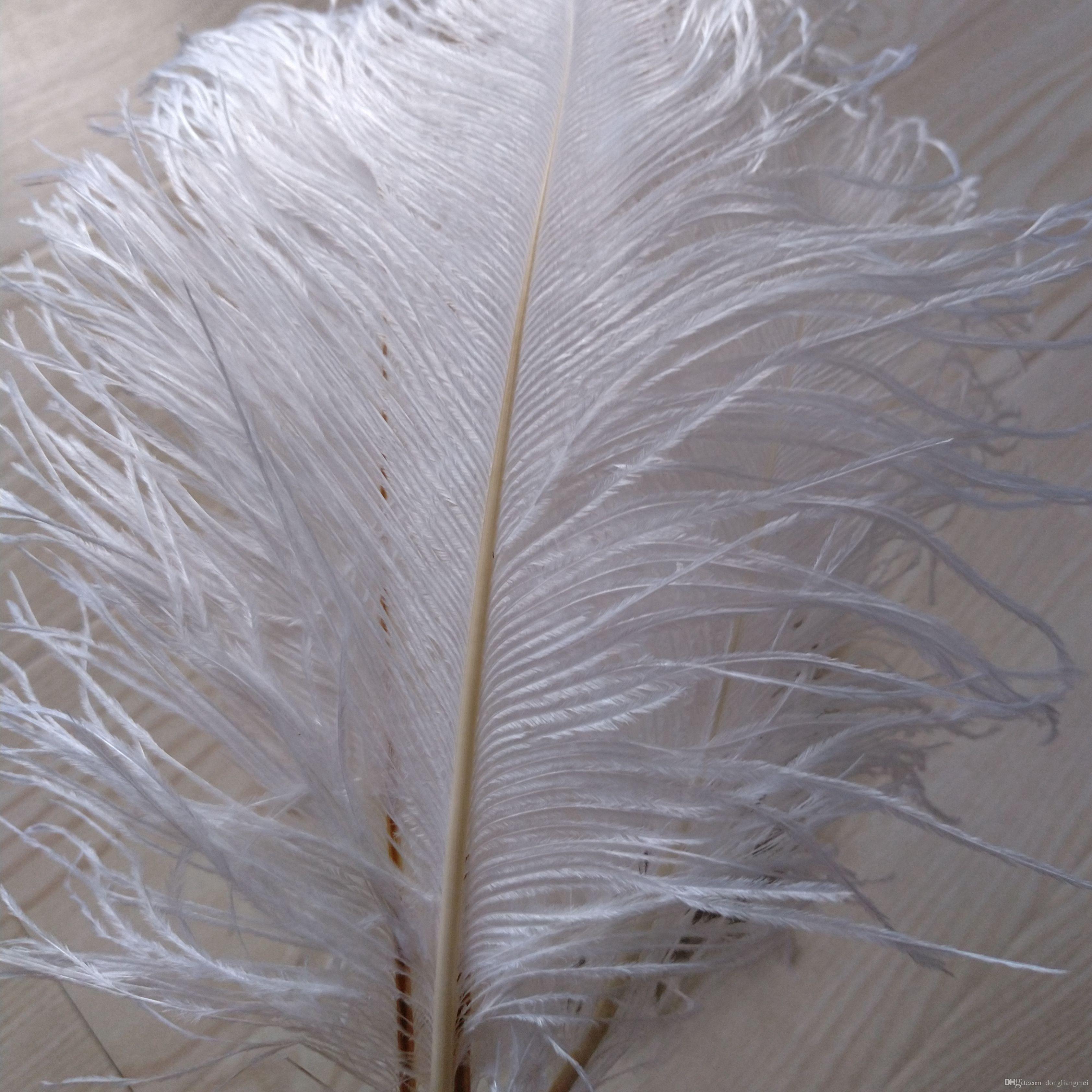 cheap ostrich plume feathers