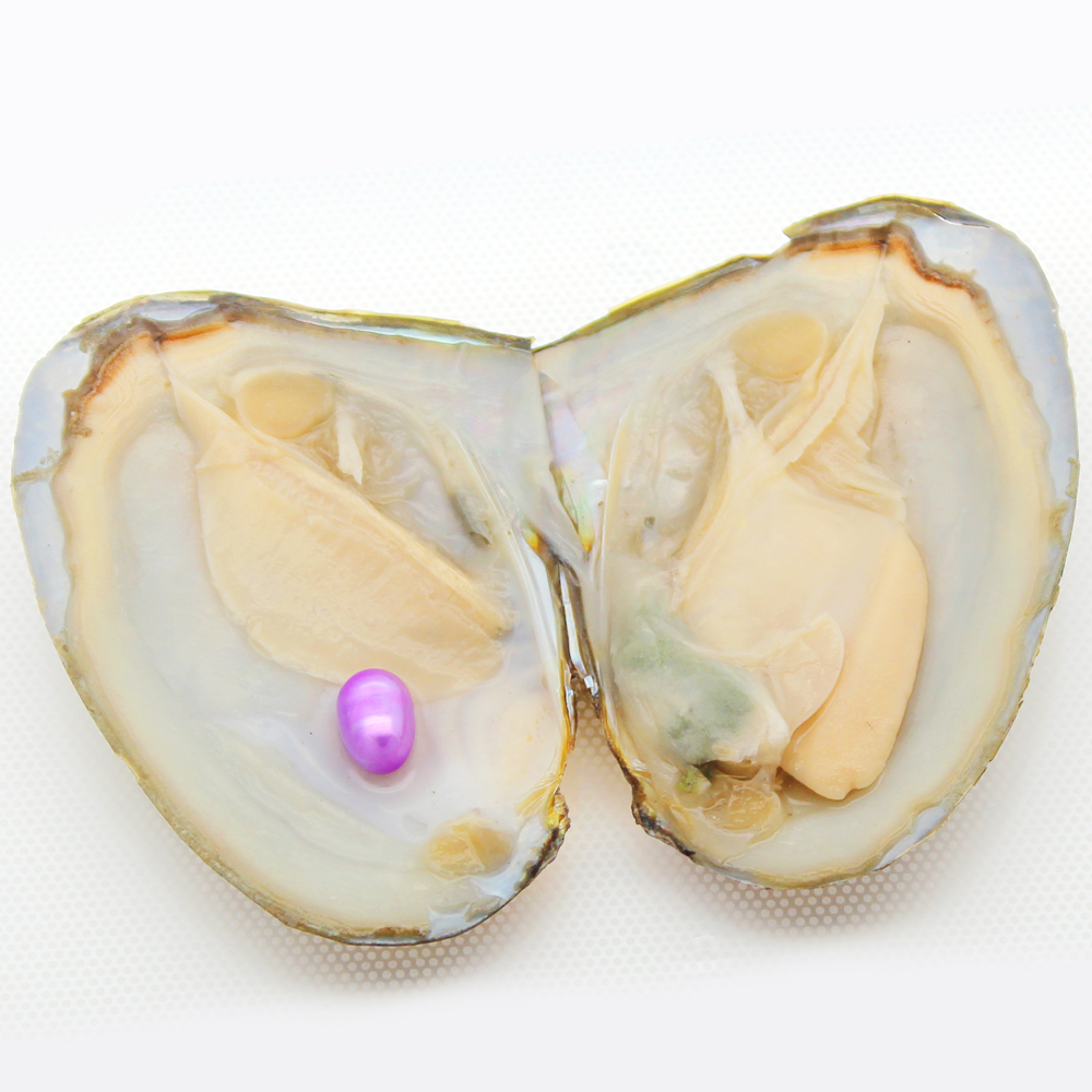 

Vacuum Packaging High Quality Mixed Colors Glossy Shiny Fresh Pearl Oyster Wholesale Oyster with Pearl 21 Colors (Free Shipping)
