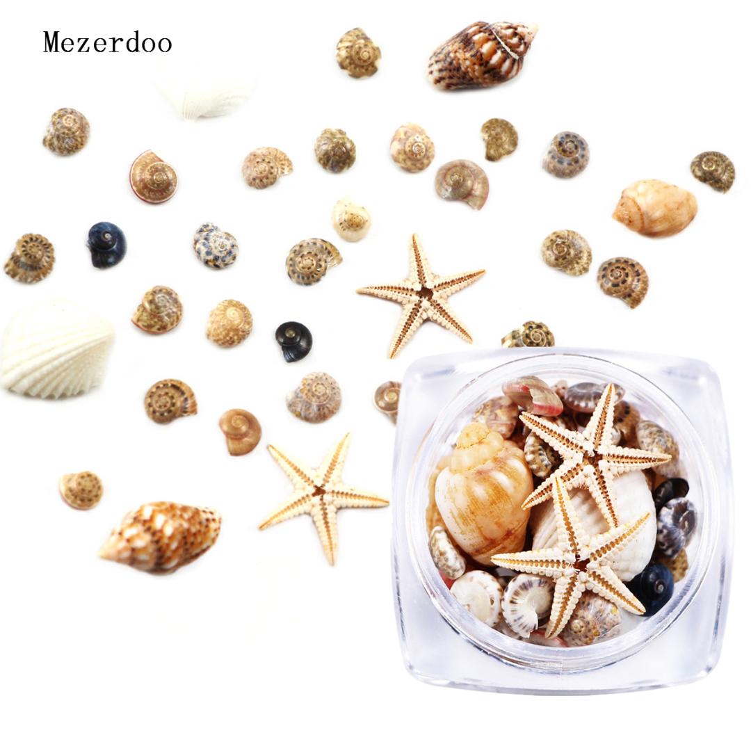 

1 Box 3D Natural Nail Art Decoration Mini Conch Shells Starfish Sea Beach Ornaments Manicure Tools for DIY
