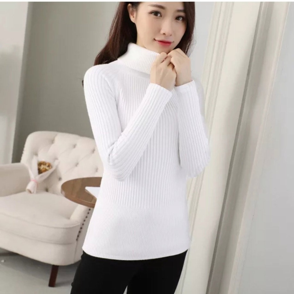 

Women Thick Turtleneck Warm Autumn Winter Knitted Cotton Lining Pull High Elasticity Ladies Casual Sweater, Black
