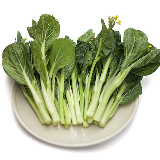 Graines Légumes Pak Choi blanc tige chou chinois