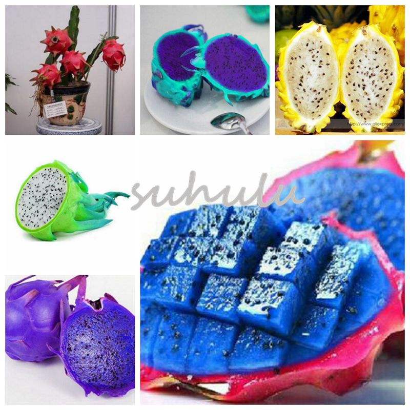 

New!! 200 Pcs/ Bag 10 Kinds Rare Pitaya Seeds,Sweet Dragon Fruit Seeds Very Delicious Healthy Fruit ,Sementes Potted Plants For Home Garden