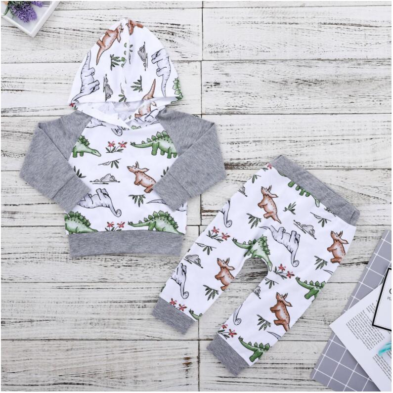 

Boy Girl Dianosaur Printed Long Sleeve Hoodies with Hat and Pants Set Baby Spring and Autumn Cartoon Trousers Suit Two Pieces Kids Clothes, As picture