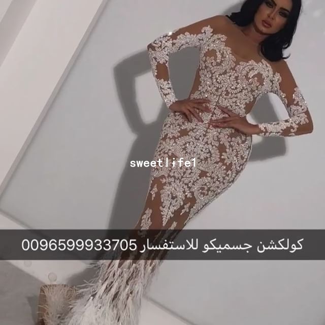 

Yousef_Aljasmi 2019 Nude Tulle Long Sleeve Evening Dresses White Appliques Zipper Back Mermaid Feather Formal Prom Dresses Dubai Arabic, Fuchsia