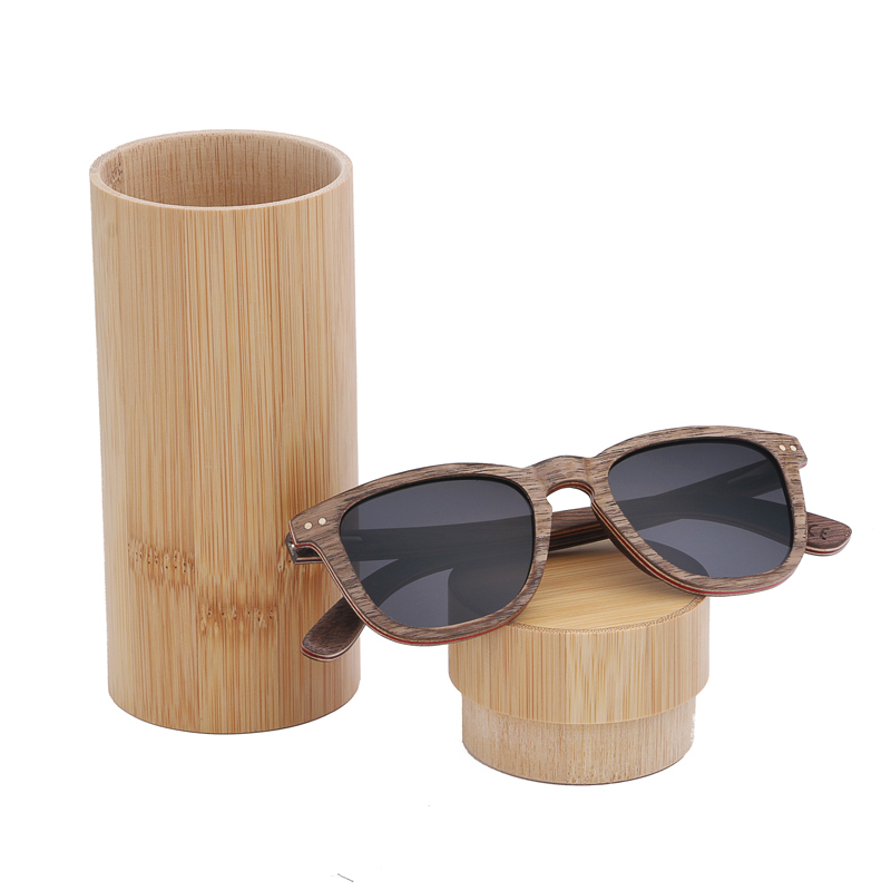 black lens with case