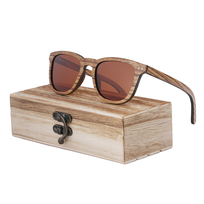 brown lens with case2