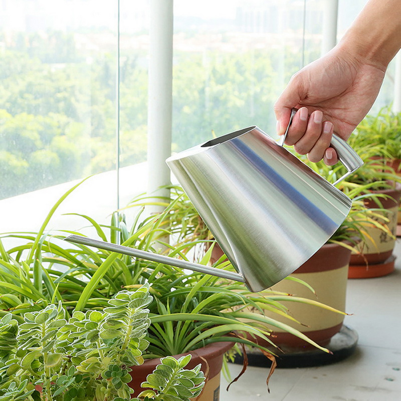 Bouilloire à eau en acier inoxydable, arrosoirs pour plantes en Pot à longue bouche, Pot de douche, outils de jardinage 900ml