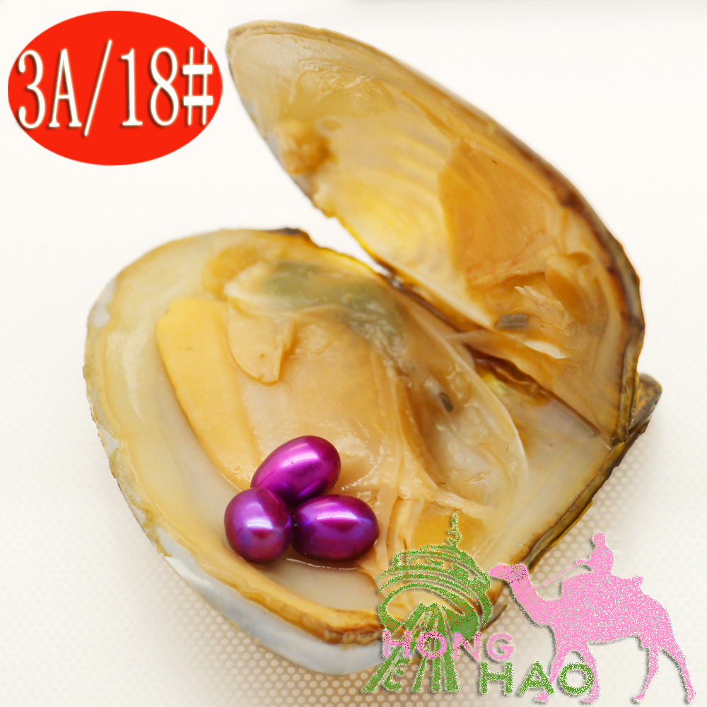 

Fashion Charm Jewelry Natural Freshwater Pearl Oyster 6-8mm 3 pieces #18 same color pearls in triangular oysters in vacuum packaging