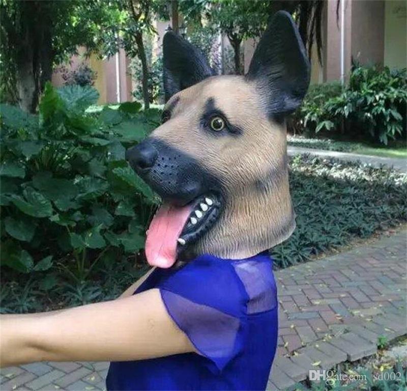 juguetes ecologicos para perros
