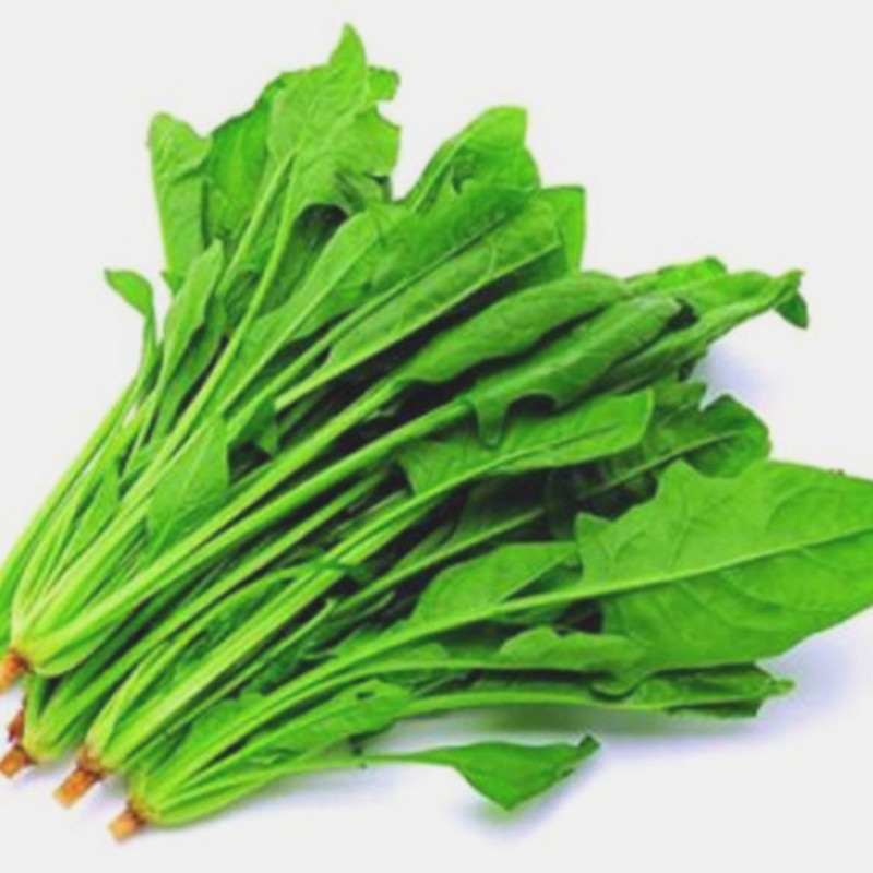 

Free Shipping 100 Pcs/bag Big leaf delicious seeds,Water spinach seed Rich Nutrition green vegetables heat-resisting
