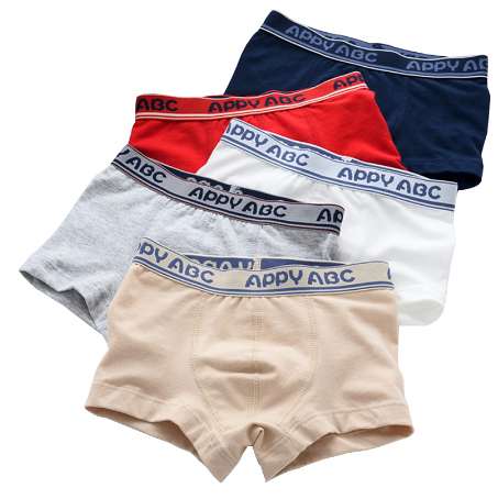 5 Pcs/lot 3-Kinds Style Soft Organic Cotton Kids Boys Underwear Children's Boxer For Boy Shorts Panties Teenage Underwear 2-16y-image-427610757