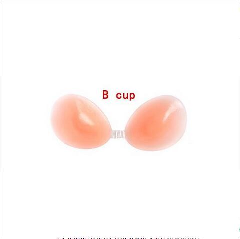 B Cup