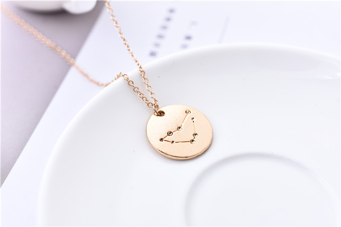 

30pcs Astrology Sign Capricorn Constellation Necklace Jewelry Round Coin Capricorn Diagram Zodiac Chain Necklace Birthday Gift
