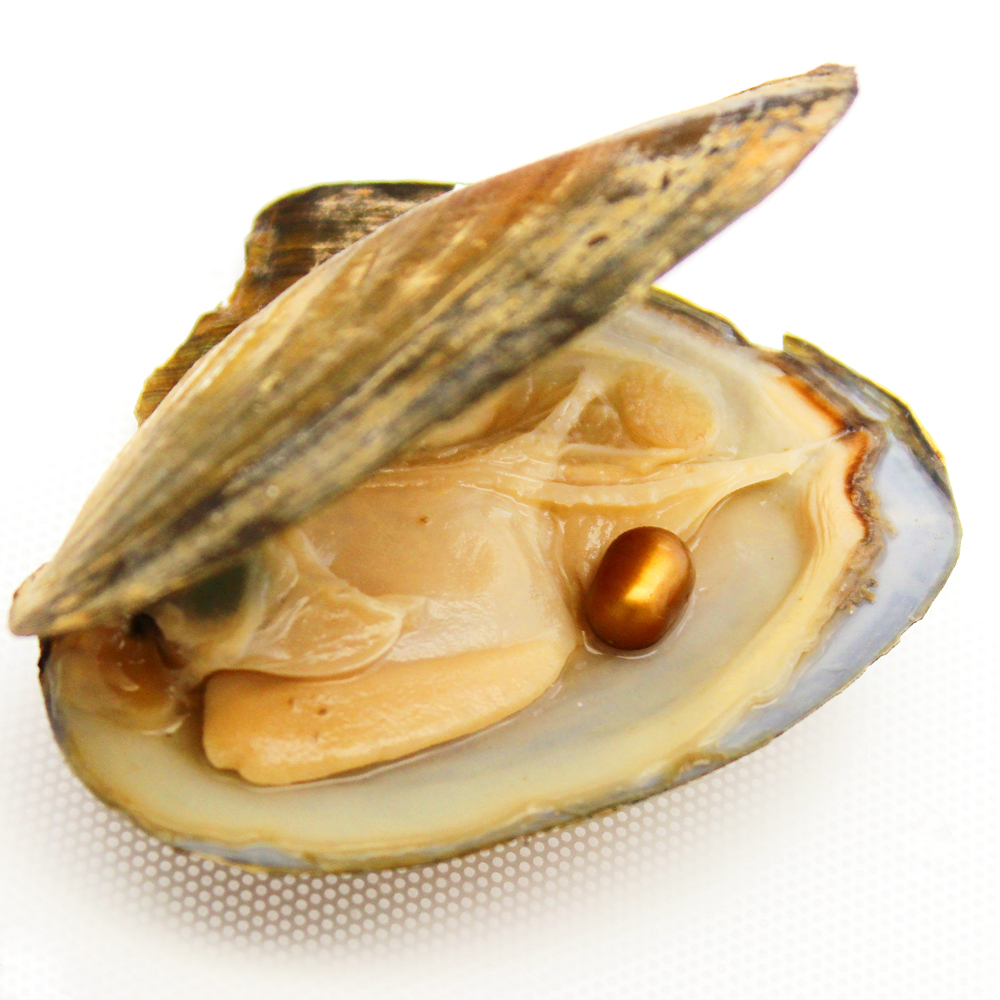 

Natural freshwater oval freshwater pearl oyster, pearl color 21 colors 3 natural colors and 18 stains (free shipping)