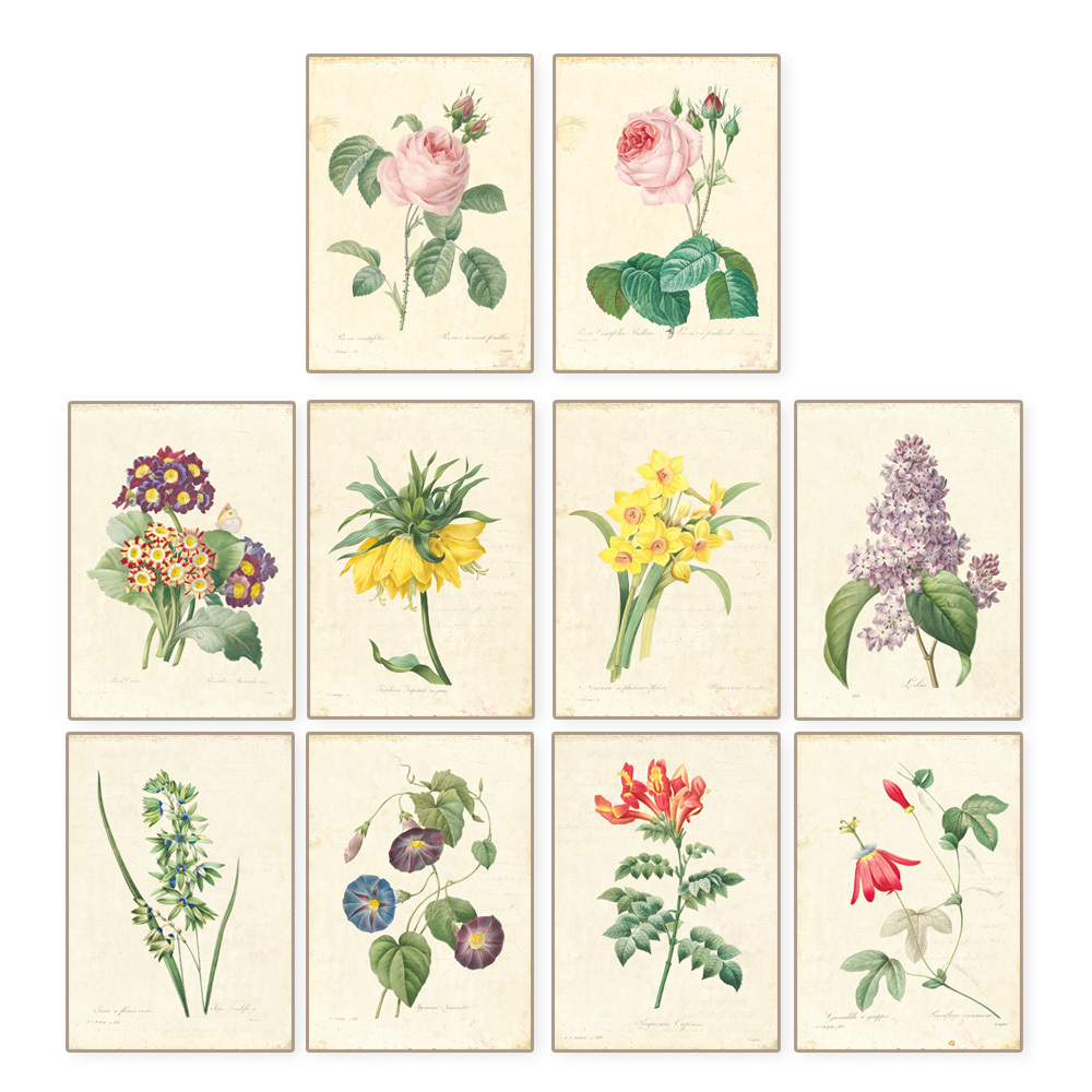 Acheter Vintage Redoute Art Botanique Impression Ensemble Set De 10 Art Rose Floar Ferme Decoration Murale Sans Cadre Y18102209 De 11 5 Du Gou09 Fr Dhgate Com