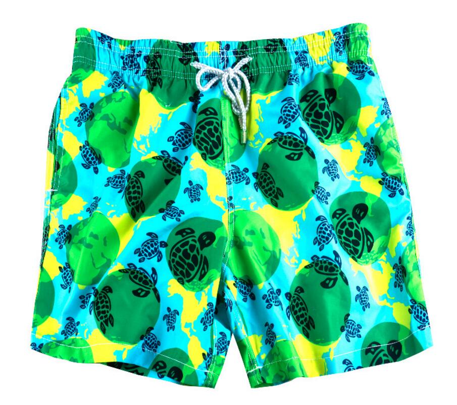 green Tortoise
