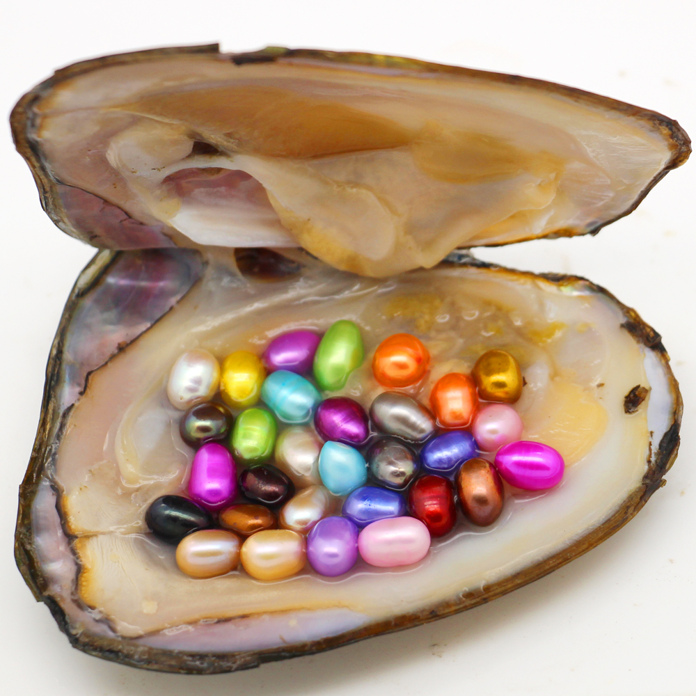 

2018 Newest oval mixed color oyster pearls, 30 different color colored pearls in oysters, vacuum packed in stock wholesale (free shipping)