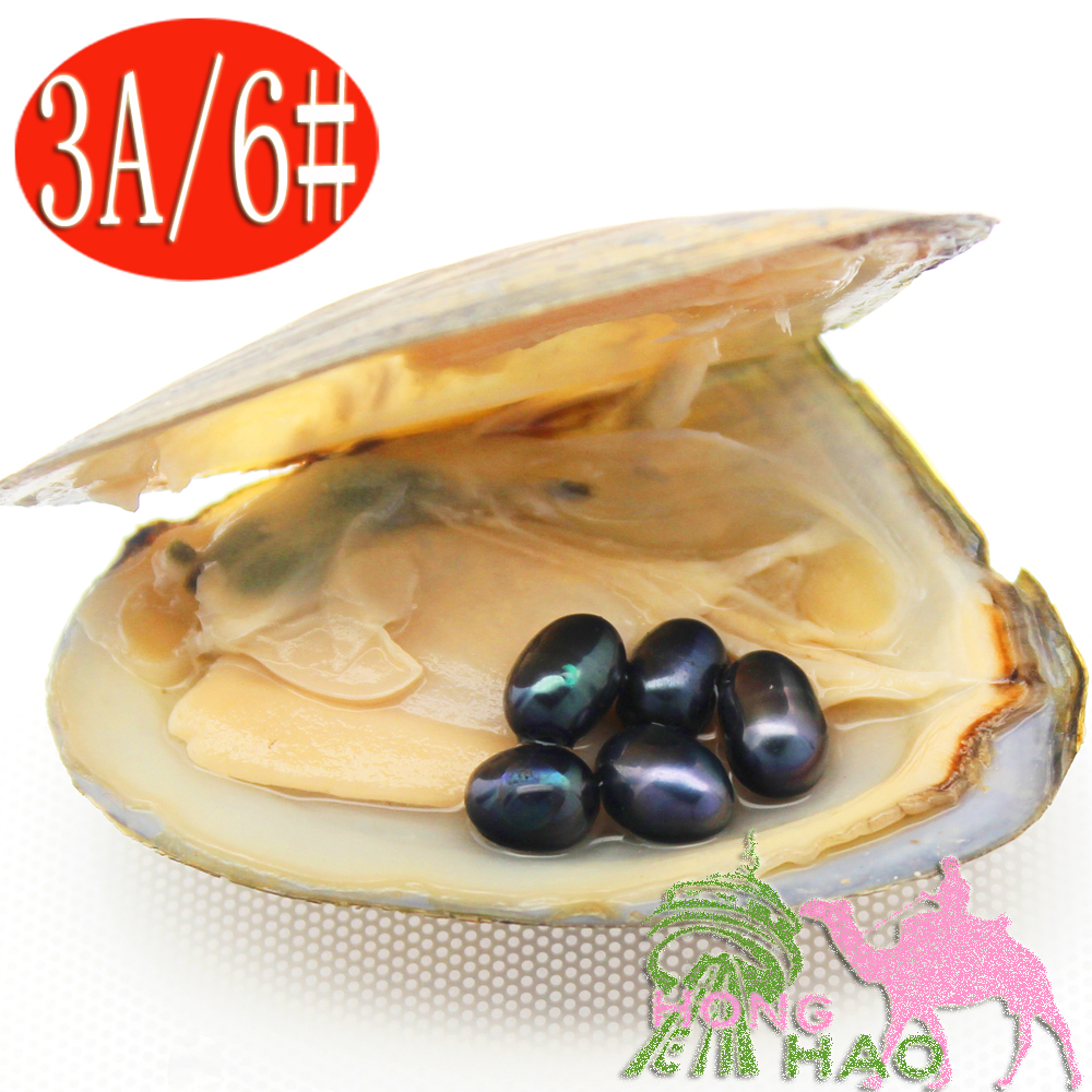 

2018 Charm Jewelry Natural Freshwater Pearl Oyster 6-8mm#6 Black Oval Pearl and Oyster Vacuum Packed Gift for Family