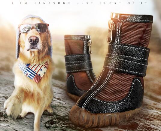 big dog shoe sale