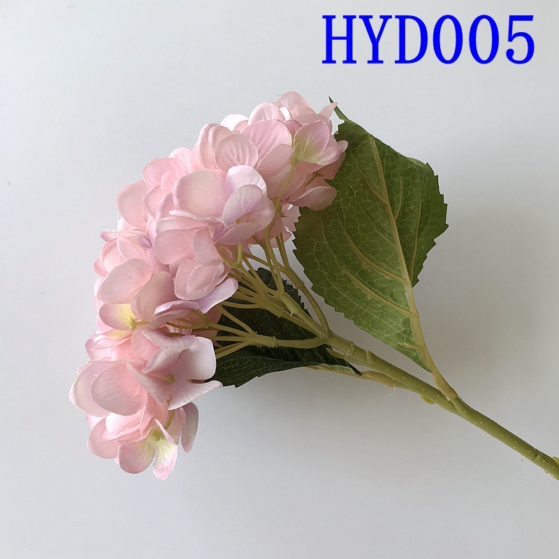 HYD005