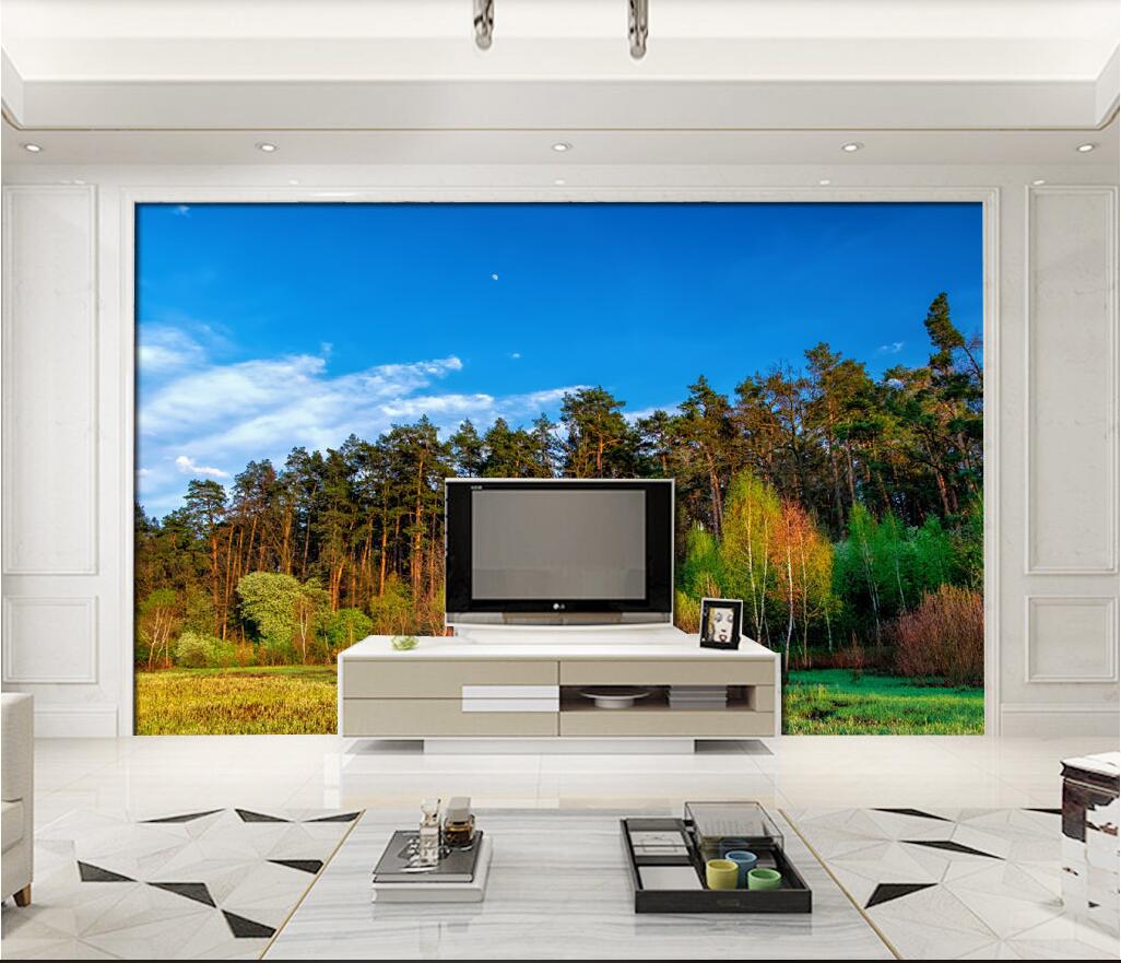 

3d wallpaper custom photo Blue sky, green vegetation, forest background wall murals 3d landscapes room murals wallpaper for walls 3 d, Picture shows