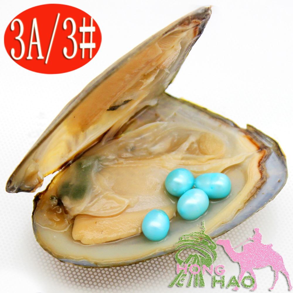 

Natural freshwater pearl oysters 6-8mm 4 pieces #3 Sky blue in triangle oyster vacuum package surprise gift for family