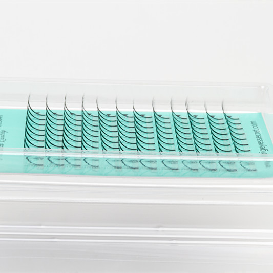 

Best quantity 5D 0.07 thickness D curl 12mm short stem pre made fans volume eyelash extensions