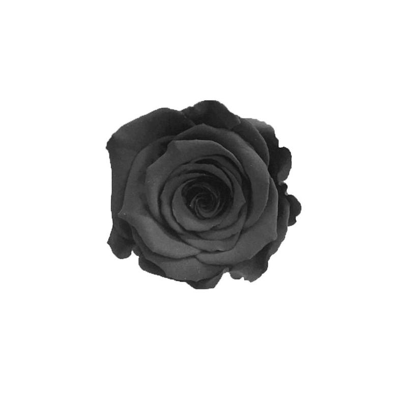 Acheter Nouveau Design Fleur Eternelle Rose Reel Veritable Bouquet De Fleurs De Noel Cadeaux Danniversaire De Saint Valentin Mariage De Mariage Romantique Reel De 19 14 Du Hopestar168 Dhgate Com Acheter Nouveau Design Fleur Eternelle Rose Reel Veritable Bouquet De Fleurs De Noel Cadeaux Danniversaire De Saint Valentin Mariage De Mariage Romantique Reel De 19 14 Du Hopestar168 Dhgate Com