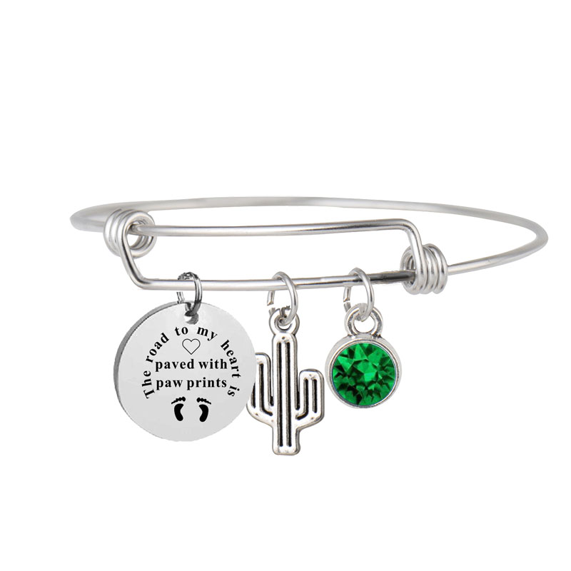 Personalize Bithstone Bracelet Silver Family Members Dog Bracelets Jewelry Quote Wire Bangle Expandable Bangles Stainless Steel-image-415928159