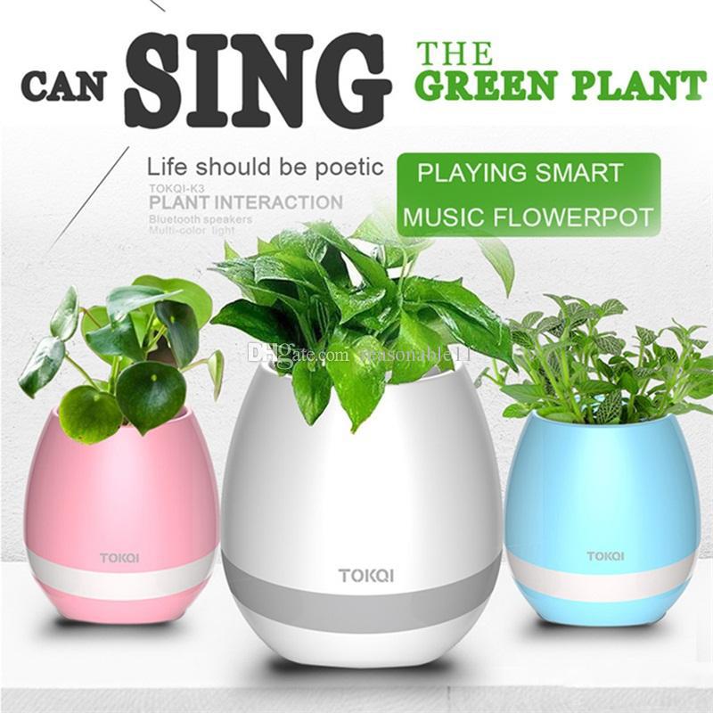 

Bluetooth Smart Music Flower Pots Intelligent Real Plant Touch Play Flowerpot Colorful Light Long Time Play Bass Speakers Night