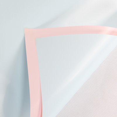 10pcs pink-blue