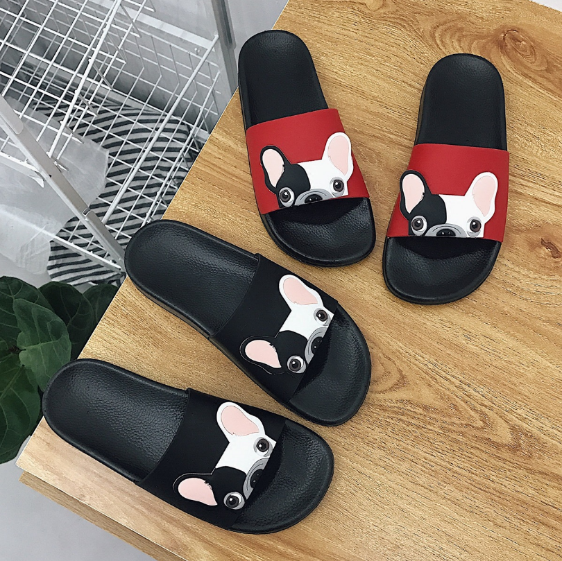 dog beach shoes